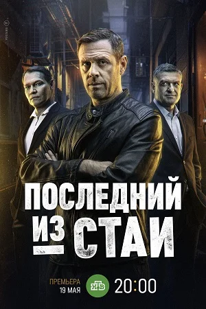 Последний из стаи онлайн